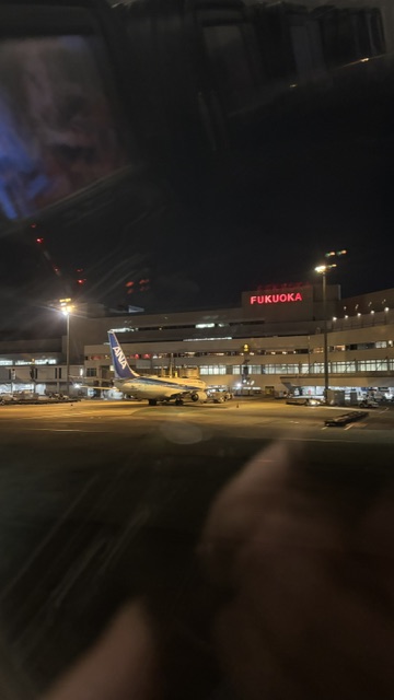 福岡空港、到着時