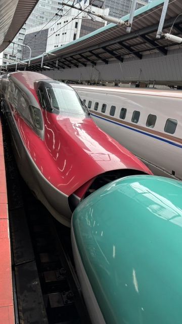東京駅、新幹線連結部