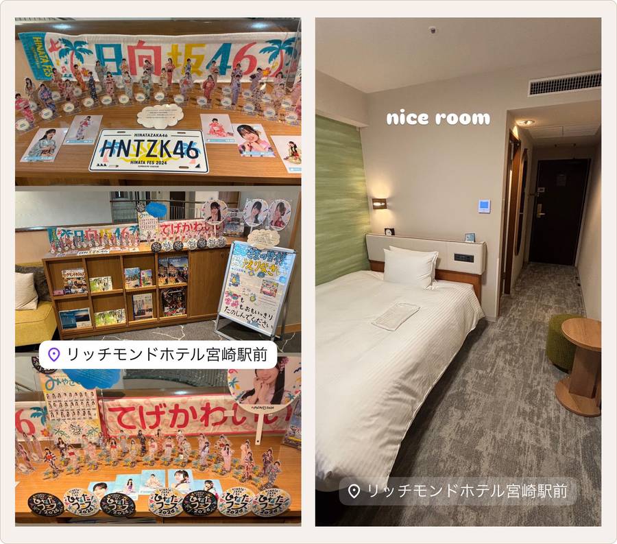 リッチモンドホテル宮崎駅前のディスプレイと客室