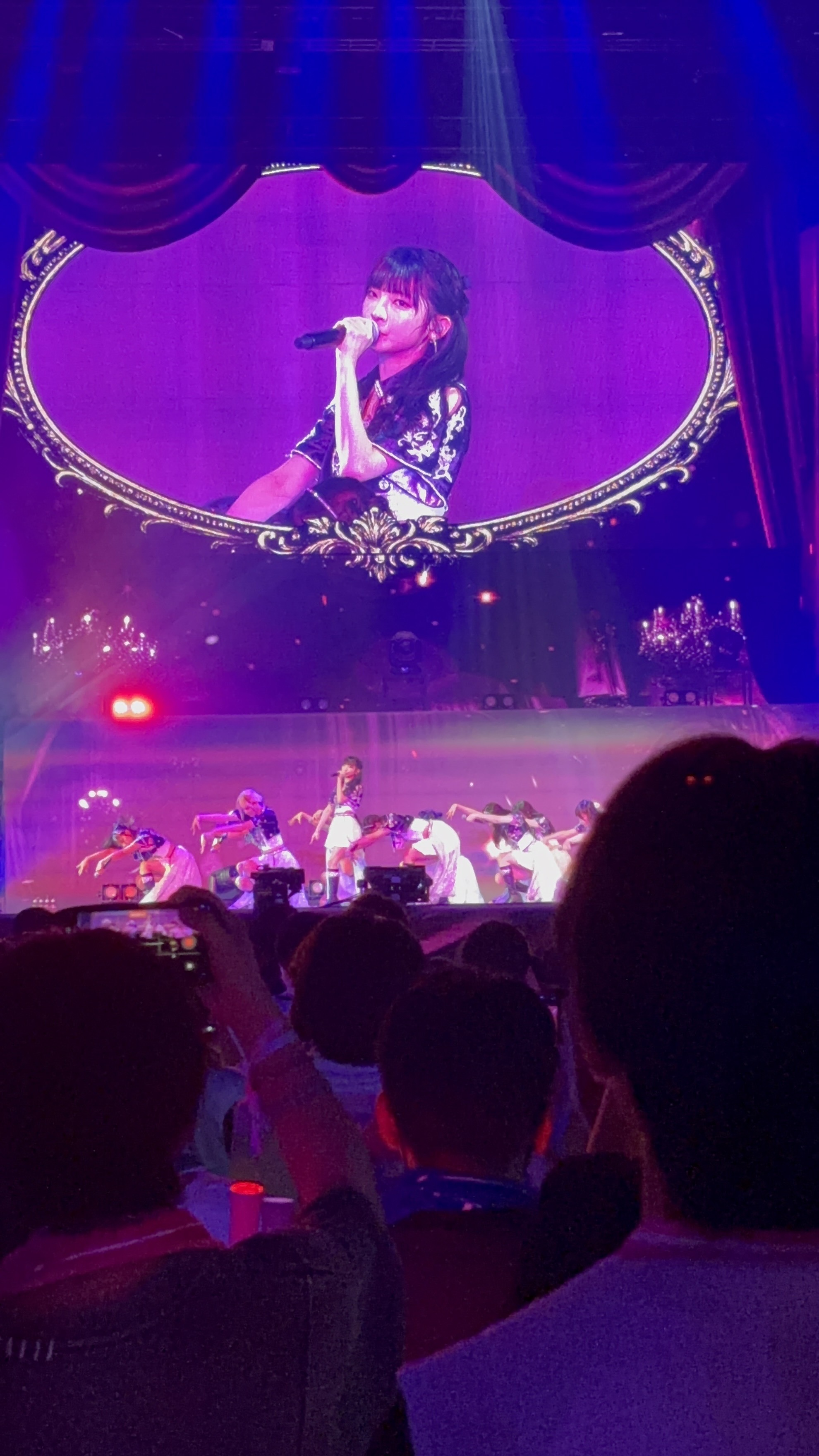ライブ中盤、「愛くださいませ」披露時の景色